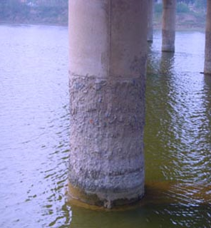 5ec3ae2c1c346.png image.png